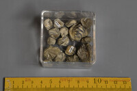 F 01504
<br/>
<br/>
<em></em>